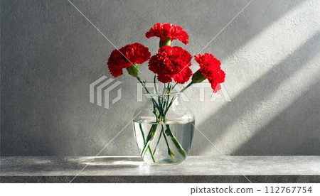 Carnation Mother's Day Copy Space Background Wallpaper 112767754