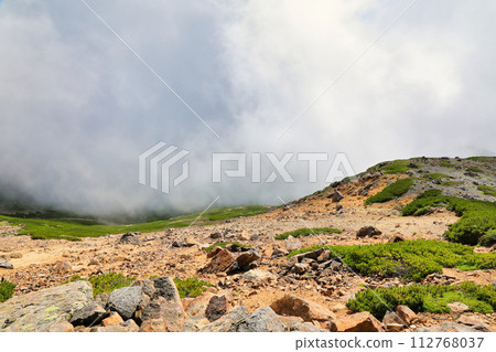 [Fixed price] Summer scenery of Mt. Norikura (Mt. Fujimi) 112768037