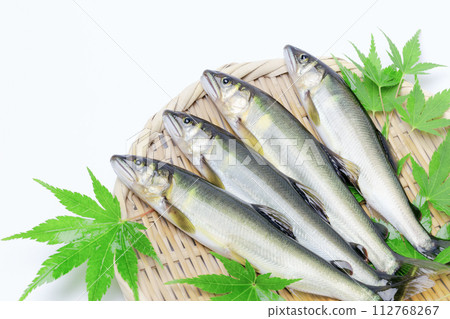 Fresh natural sweetfish Fresh natural sweetfish 112768267