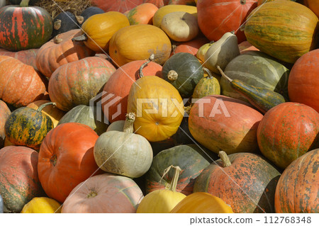 Pumpkins Pumpkins 112768348