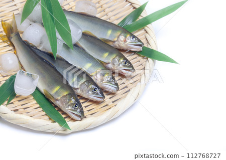 新鮮的天然香魚 112768727