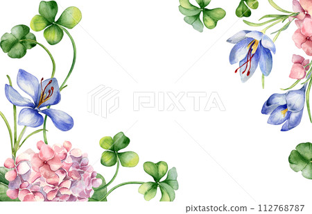 Border with pink hydrangea and clover watercolor illustration isolated on white. Painted crocus flowers Easter card. Hand drawn Irish symbol. Design for St.Patricks day, springtime, package Border with pink hydrangea and clover watercolor illustration isolated on white. Painted crocus flowers Easter card. Hand drawn Irish symbol. Design for St.Patricks day, springtime, package 112768787