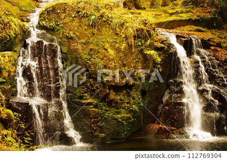 Autumn leaves at Akame 48 Waterfalls (Nabari City, Mie Prefecture) 112769304