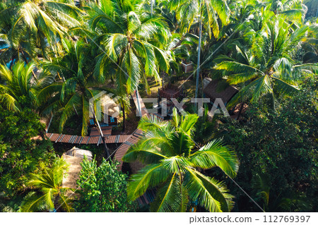 High angle coconut tree plantation on a tropical island 112769397