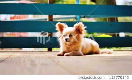 Scenery of Neopark Okinawa and Kotoko Square 112770145