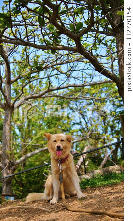 Neopark沖繩風景 112770154