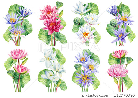 Lotus set, watercolor bouquet flowers. Water lilies Flowers isolated background, botanical painting illustration plant 112770380