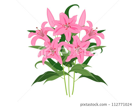 粉紅色的百合花,有樹枝和葉子 粉紅色的百合花,有樹枝和葉子 112771024