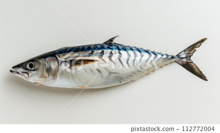 Whole Mackerel Fish Isolated on White Background 112772004