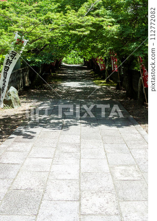 通往被新鮮綠色植物包圍的寺廟的道路 112772082