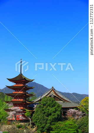 【廣島縣】櫻花盛開、嚴島神社和豐國神社的五重寶塔（宮島） 112772331
