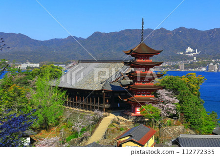 【廣島縣】櫻花盛開、嚴島神社和豐國神社的五重寶塔（宮島） 112772335