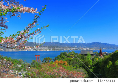 [廣島縣]天氣晴朗的嚴島神社大鳥居，五層寶塔和豐國神社（宮島） 112772343