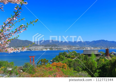 [廣島縣]天氣晴朗的嚴島神社大鳥居，五層寶塔和豐國神社（宮島） 112772344