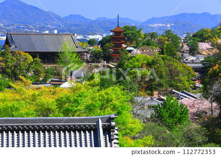 【廣島縣】櫻花盛開、嚴島神社和豐國神社的五重寶塔（宮島） 112772353