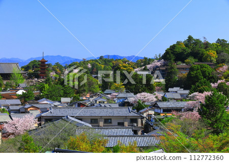 【廣島縣】櫻花盛開、嚴島神社和豐國神社的五重寶塔（宮島） 112772360