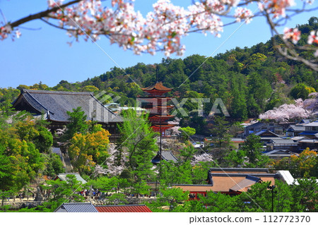 [Hiroshima Prefecture] Cherry blossoms in full bloom, the five-storied pagoda of Itsukushima Shrine and Toyokuni Shrine (Miyajima) 112772370