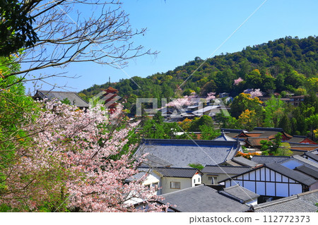 【廣島縣】櫻花盛開、嚴島神社和豐國神社的五重寶塔（宮島） 112772373