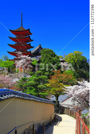 【廣島縣】櫻花盛開、嚴島神社和豐國神社的五重寶塔（宮島） 112772396