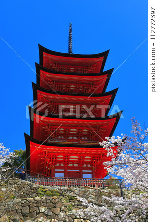 [Hiroshima Prefecture] Cherry blossoms in full bloom and the five-storied pagoda of Itsukushima Shrine (Miyajima) 112772397