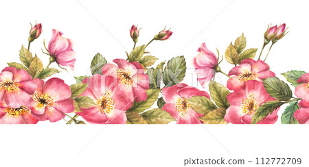 Watercolor floral seamless border, pattern. Pink wild rose hip branch with buds, flowers, leaves, dog or brier rose. Botanical repeating horizontal print. Hand drawn illustration isolated background. 112772709