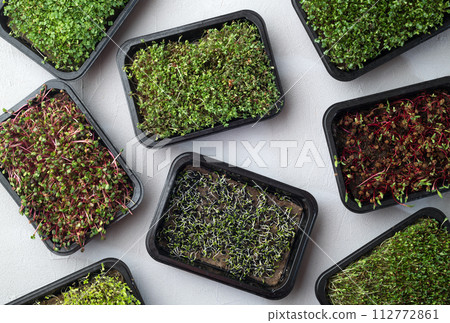 Mix of Microgreens in container Mix of Microgreens in container 112772861