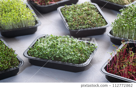 Mix of Microgreens in container 112772862