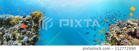 Underwater Tropical Corals Reef with colorful sea fish. Marine life sea world. Tropical colourful underwater seascape. 112772990