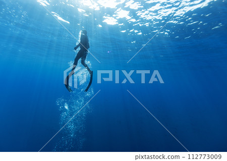 Freediver Swimming in Deep Sea With Sunrays. Young Man Diver Eploring Sea Life. 112773009