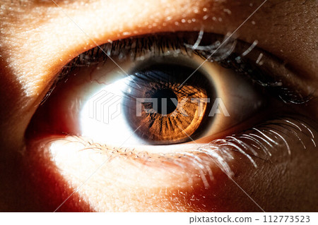 Pupil Pupil 112773523