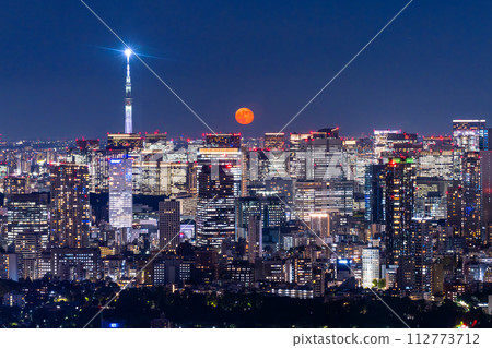 《東京》東京都市夜景/美麗的月夜 112773712