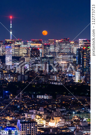 《東京》東京都市夜景/美麗的月夜 《東京》東京都市夜景/美麗的月夜 112773713