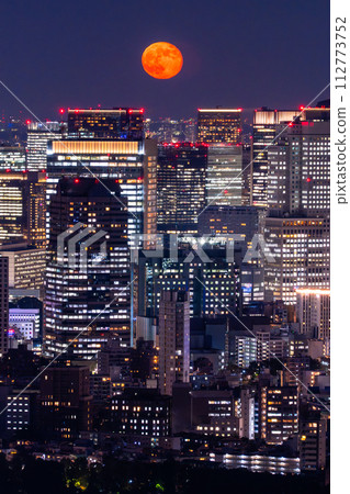 《東京》東京都市夜景/美麗的月夜 112773752