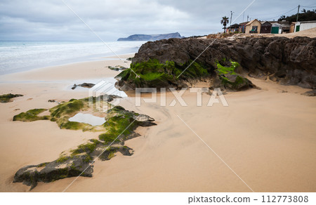Landscape with wet stones and green algae, Portugal 112773808