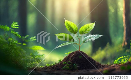 永續發展目標 (SDG) 地球和人類的目標 從消除貧窮到應對氣候變遷 112773933