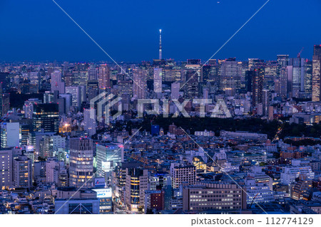 [Tokyo] Tokyo skyline/city night view 112774129