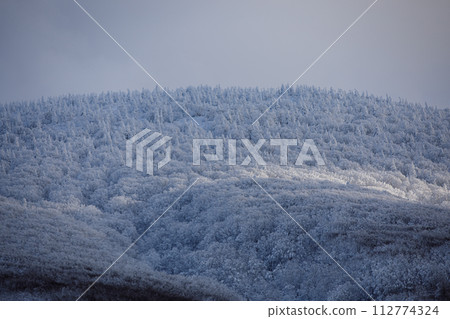 Hakkoda frost-covered trees in winter (Aomori City) Hakkoda frost-covered trees in winter (Aomori City) 112774324