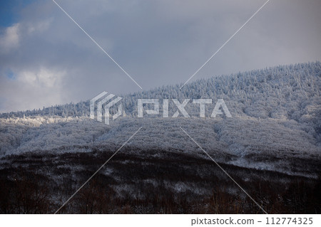 Hakkoda mountains in winter (Aomori City) Hakkoda mountains in winter (Aomori City) 112774325