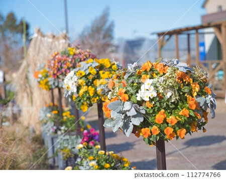 春天的花束 112774766