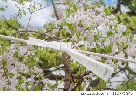 Omikuji 綁 Omikuji 綁 112775846