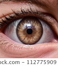 Brown eyes [close-up] 112775909