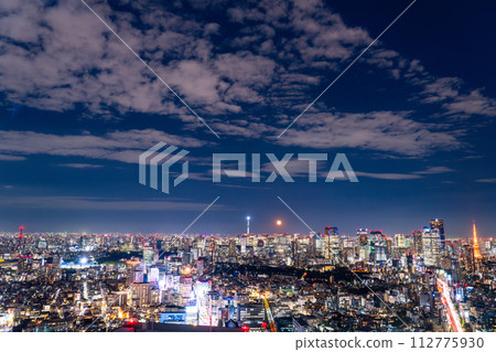 [Tokyo] Tokyo skyline/city night view 112775930