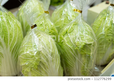 大白菜/蔬菜的形象 大白菜/蔬菜的形象 112776299