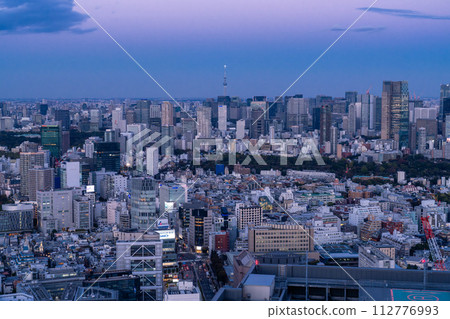 [東京] 東京天際線/城市夜景 112776993