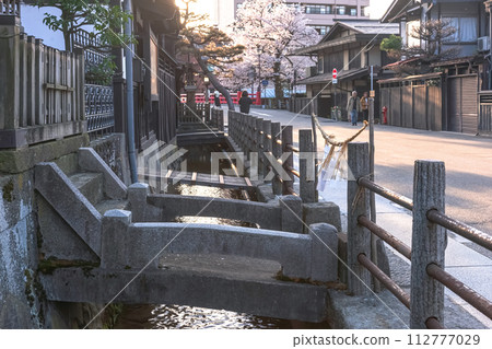 230410 中橋櫻 z080 230410 中橋櫻 z080 112777029
