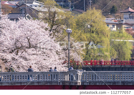 230409 中橋櫻 g018 230409 中橋櫻 g018 112777057