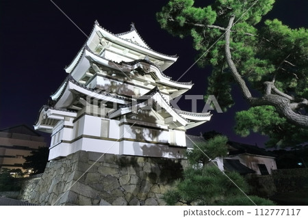 [香川縣]玉藻公園和歷史悠久的高松城遺址的夜景（賞月塔的燈光） 112777117