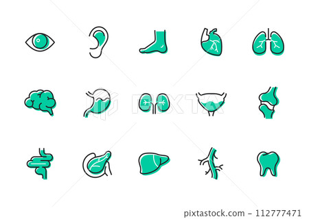 Human organs - set of line design style icons 112777471