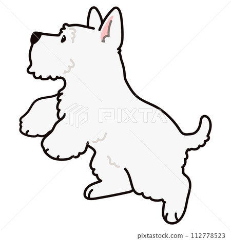 一個簡單可愛的白色蘇格蘭梗用主線跳躍的插圖 112778523