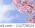 Kawazu cherry tree and blue sky 112778524
